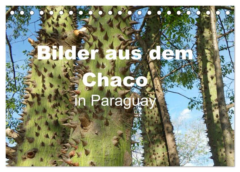 Bilder aus dem Chaco in Paraguay (Tischkalender 2024 DIN A5 quer) CALVENDO Monatskalender