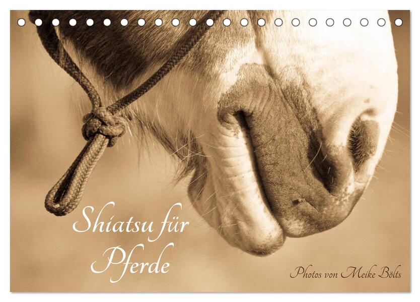 Shiatsu für Pferde - Photos von Meike Bölts (Tischkalender 2024 DIN A5 quer) CALVENDO Monatskalender