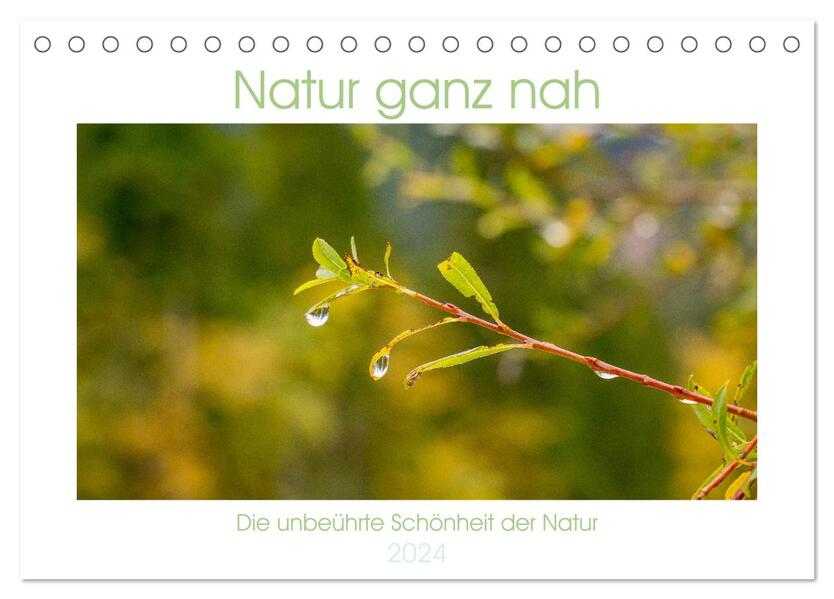 Natur hautnah Kalender (Tischkalender 2024 DIN A5 quer) CALVENDO Monatskalender