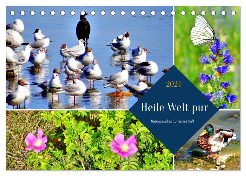 Heile Welt pur - Naturparadies Kurisches Haff (Tischkalender 2024 DIN A5 quer) CALVENDO Monatskalender