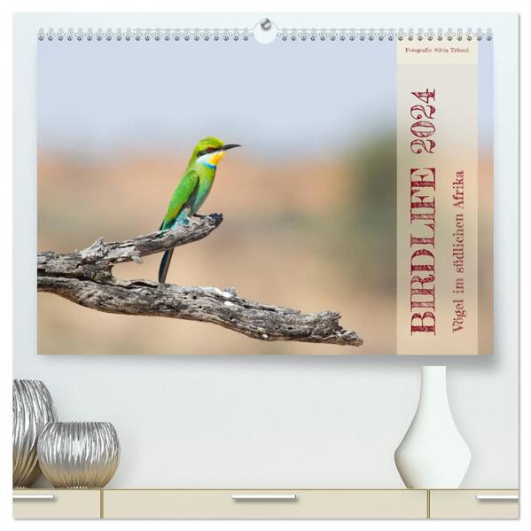 Birdlife - Vögel im südlichen Afrika (hochwertiger Premium Wandkalender 2024 DIN A2 quer) Kunstdruck in Hochglanz