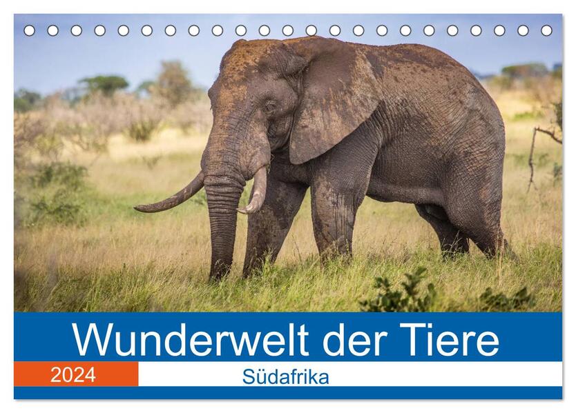 Wunderwelt der Tiere - Südafrika (Tischkalender 2024 DIN A5 quer) CALVENDO Monatskalender