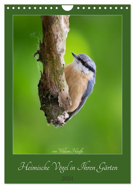 Heimische Vögel in Ihren Gärten (Wandkalender 2024 DIN A4 hoch) CALVENDO Monatskalender