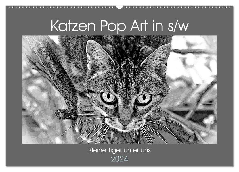 Katzen Pop Art in s/w - Kleine Tiger unter uns (Wandkalender 2024 DIN A2 quer) CALVENDO Monatskalender