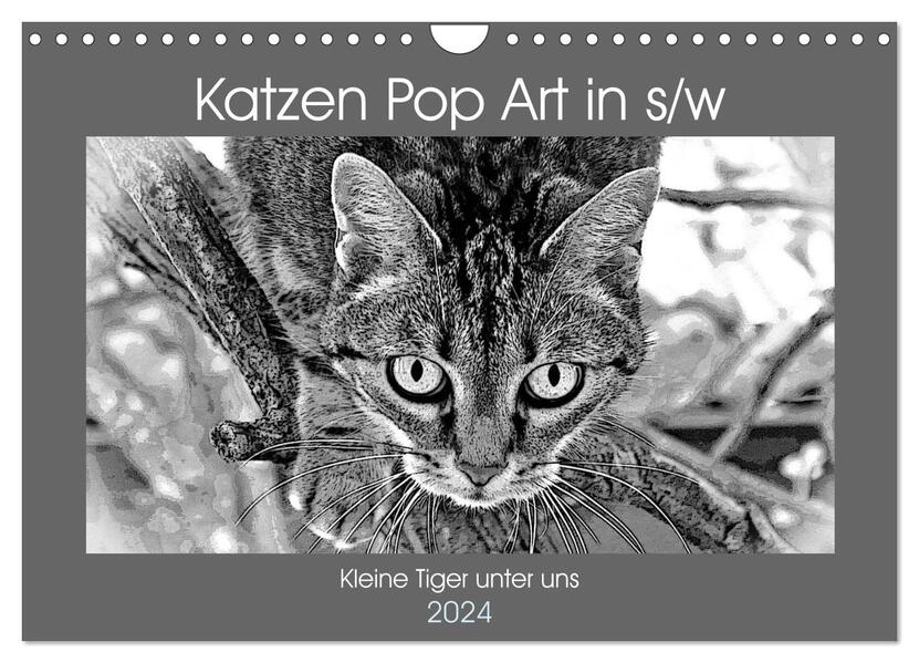 Katzen Pop Art in s/w - Kleine Tiger unter uns (Wandkalender 2024 DIN A4 quer) CALVENDO Monatskalender