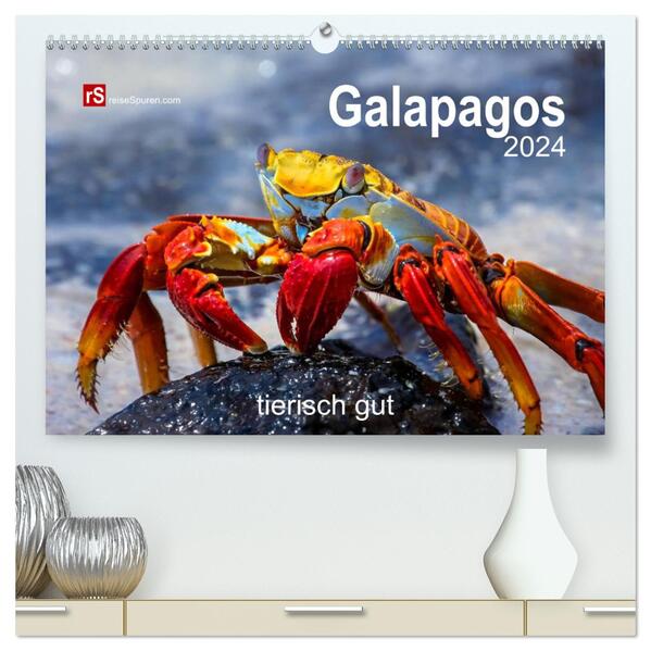 Galapagos 2024 tierisch gut (hochwertiger Premium Wandkalender 2024 DIN A2 quer) Kunstdruck in Hochglanz