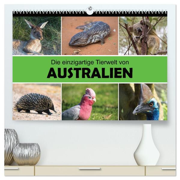 Die einzigartige Tierwelt von Australien (hochwertiger Premium Wandkalender 2024 DIN A2 quer) Kunstdruck in Hochglanz