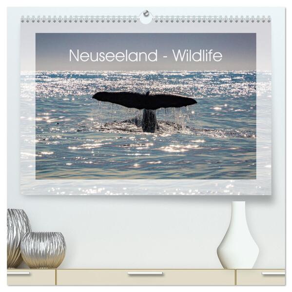 Neuseeland - Wildlife (hochwertiger Premium Wandkalender 2024 DIN A2 quer) Kunstdruck in Hochglanz