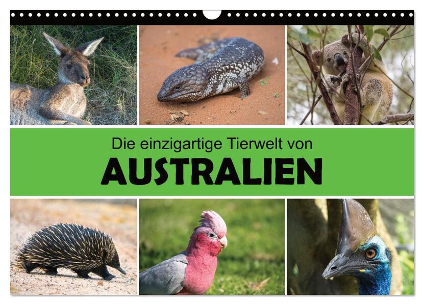 Die einzigartige Tierwelt von Australien (Wandkalender 2024 DIN A3 quer) CALVENDO Monatskalender