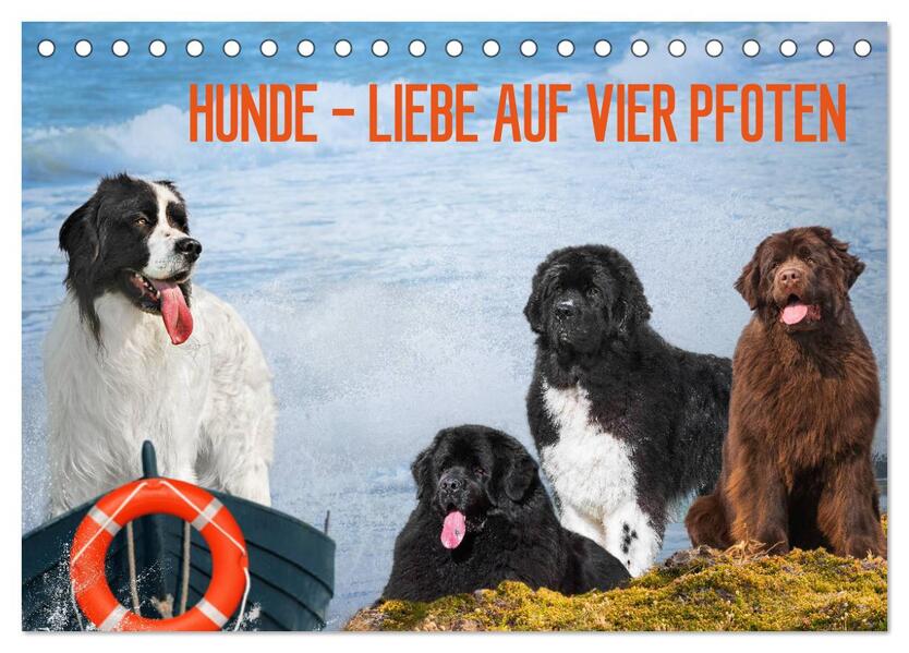 Hunde - Liebe auf vier Pfoten (Tischkalender 2024 DIN A5 quer) CALVENDO Monatskalender