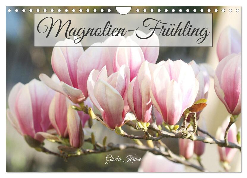 Magnolien-Frühling (Wandkalender 2024 DIN A4 quer) CALVENDO Monatskalender