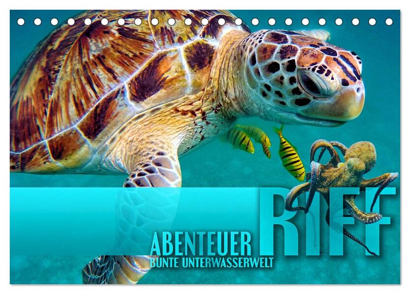 Abenteuer Riff - bunte Unterwasserwelt (Tischkalender 2024 DIN A5 quer) CALVENDO Monatskalender