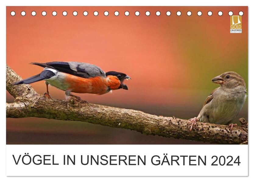 Vögel in unseren Gärten 2024 (Tischkalender 2024 DIN A5 quer) CALVENDO Monatskalender