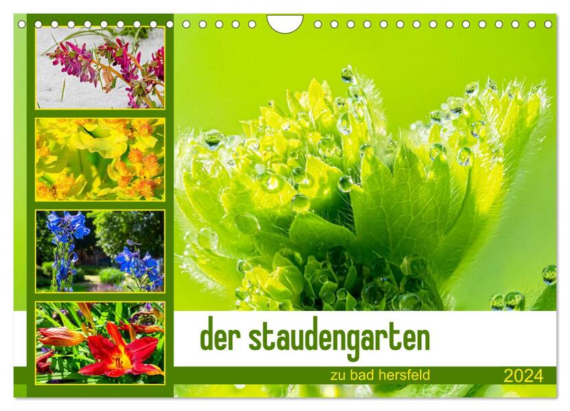 der staudengarten zu bad hersfeld (Wandkalender 2024 DIN A4 quer) CALVENDO Monatskalender