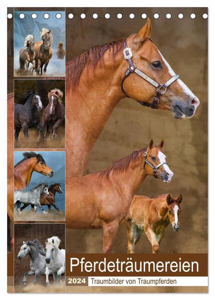 Pferdeträumereien - Traumbilder von Traumpferden (Tischkalender 2024 DIN A5 hoch) CALVENDO Monatskalender