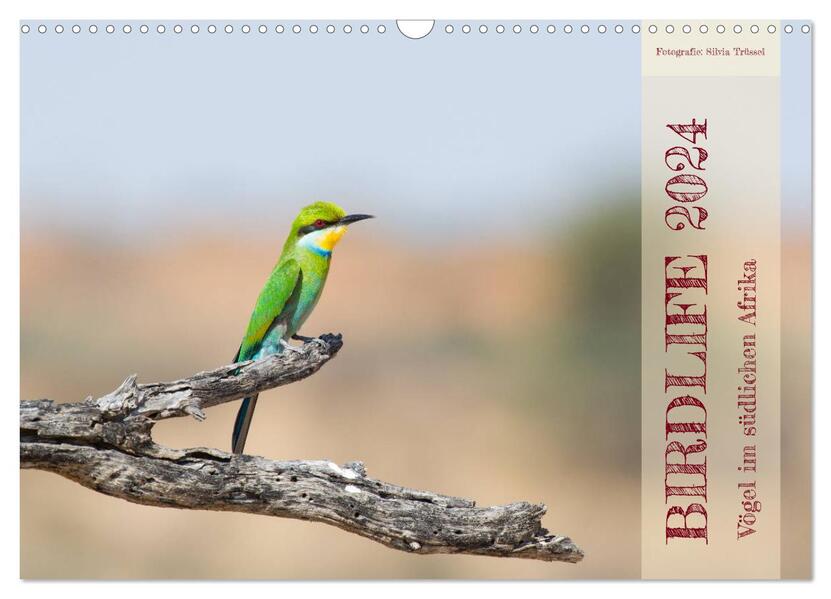 Birdlife - Vögel im südlichen Afrika (Wandkalender 2024 DIN A3 quer) CALVENDO Monatskalender