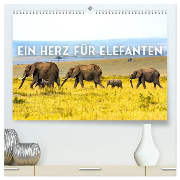 Ein Herz für Elefanten (hochwertiger Premium Wandkalender 2024 DIN A2 quer) Kunstdruck in Hochglanz