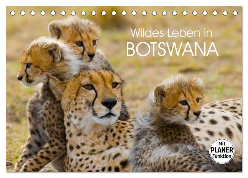 Wildes Leben in Botswana (Tischkalender 2024 DIN A5 quer) CALVENDO Monatskalender