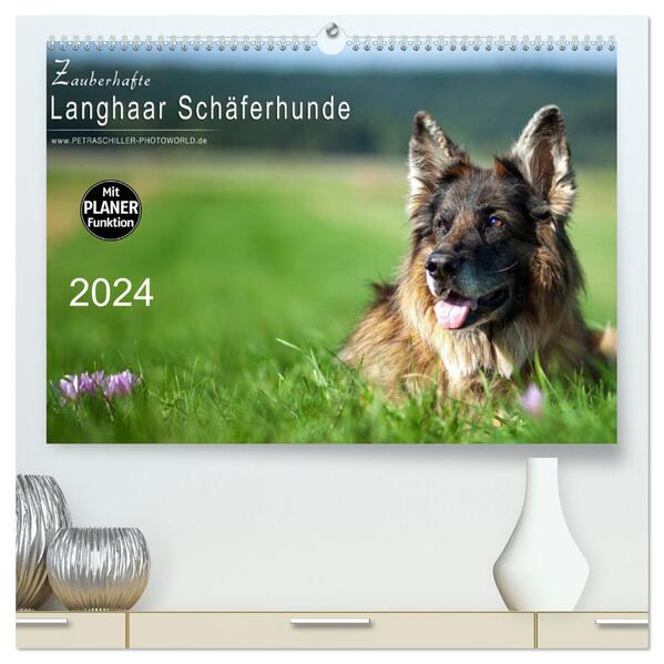 Zauberhafte Langhaar Schäferhunde (hochwertiger Premium Wandkalender 2024 DIN A2 quer) Kunstdruck in Hochglanz