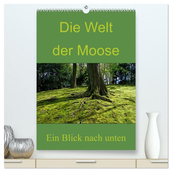 Die Welt der Moose. Ein Blick nach unten (hochwertiger Premium Wandkalender 2024 DIN A2 hoch) Kunstdruck in Hochglanz
