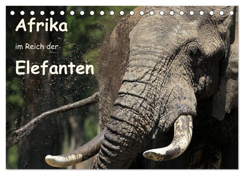 Afrika - im Reich der Elefanten (Tischkalender 2024 DIN A5 quer) CALVENDO Monatskalender