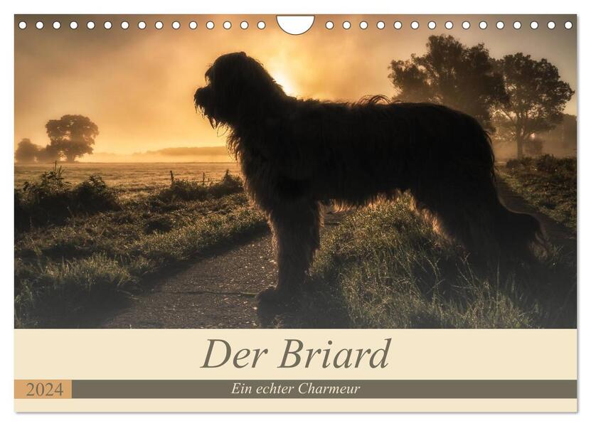 Der Briard 2024 - Ein echter Charmeur (Wandkalender 2024 DIN A4 quer) CALVENDO Monatskalender