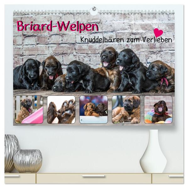 Briard-Welpen - Knuddelbären zum Verlieben (hochwertiger Premium Wandkalender 2024 DIN A2 quer) Kunstdruck in Hochglanz