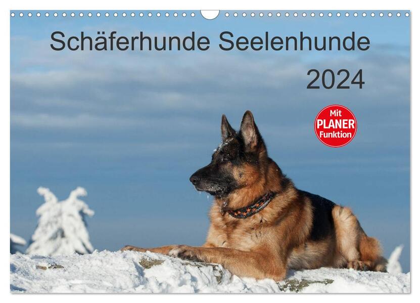 Schäferhunde Seelenhunde (Wandkalender 2024 DIN A3 quer) CALVENDO Monatskalender - Petra Schiller