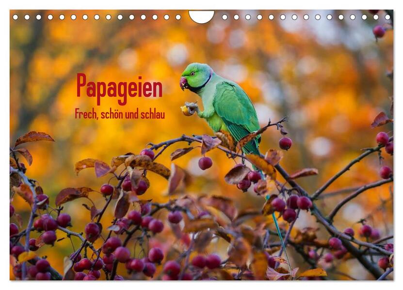 Papageien - Frech schön und schlau (Wandkalender 2024 DIN A4 quer) CALVENDO Monatskalender
