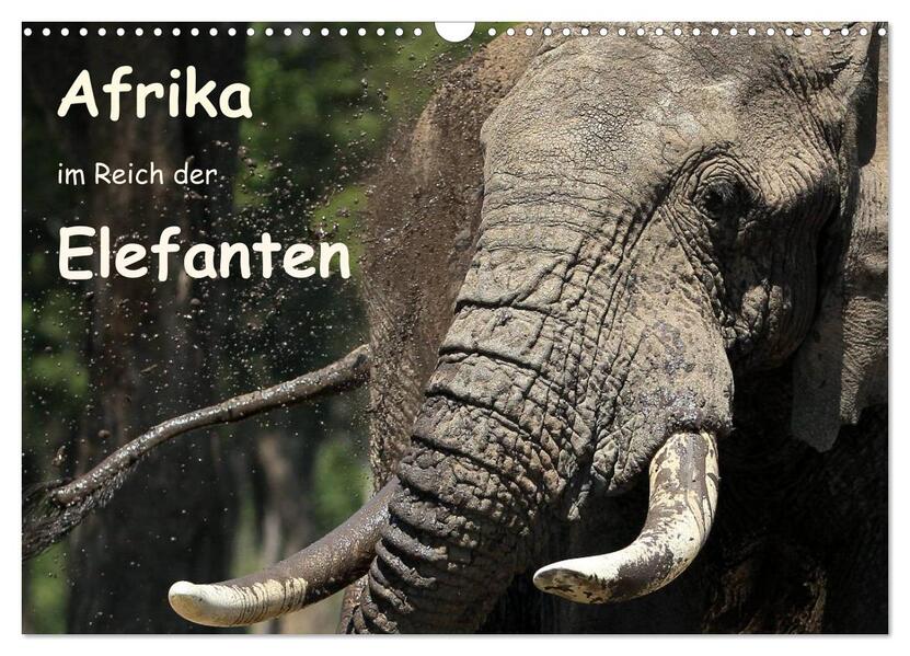 Afrika - im Reich der Elefanten (Wandkalender 2024 DIN A3 quer) CALVENDO Monatskalender