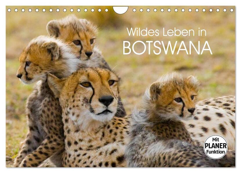 Wildes Leben in Botswana (Wandkalender 2024 DIN A4 quer) CALVENDO Monatskalender