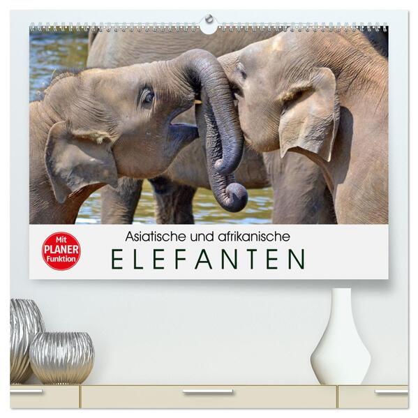Asiatische und afrikanische Elefanten (hochwertiger Premium Wandkalender 2024 DIN A2 quer) Kunstdruck in Hochglanz