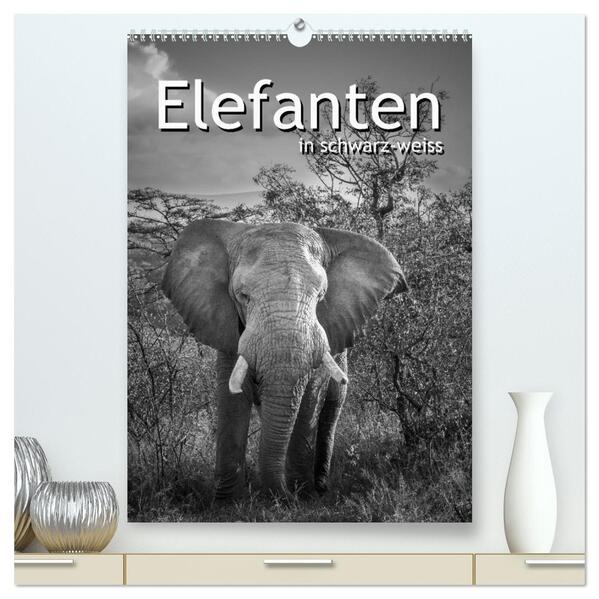 Elefanten in schwarz-weiss (hochwertiger Premium Wandkalender 2024 DIN A2 hoch) Kunstdruck in Hochglanz