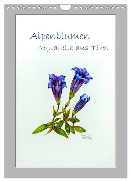 Alpenblumen Aquarelle aus Tirol (Wandkalender 2024 DIN A4 hoch) CALVENDO Monatskalender