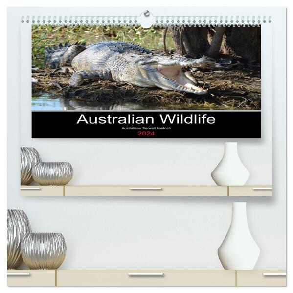 Australian Wildlife (hochwertiger Premium Wandkalender 2024 DIN A2 quer) Kunstdruck in Hochglanz