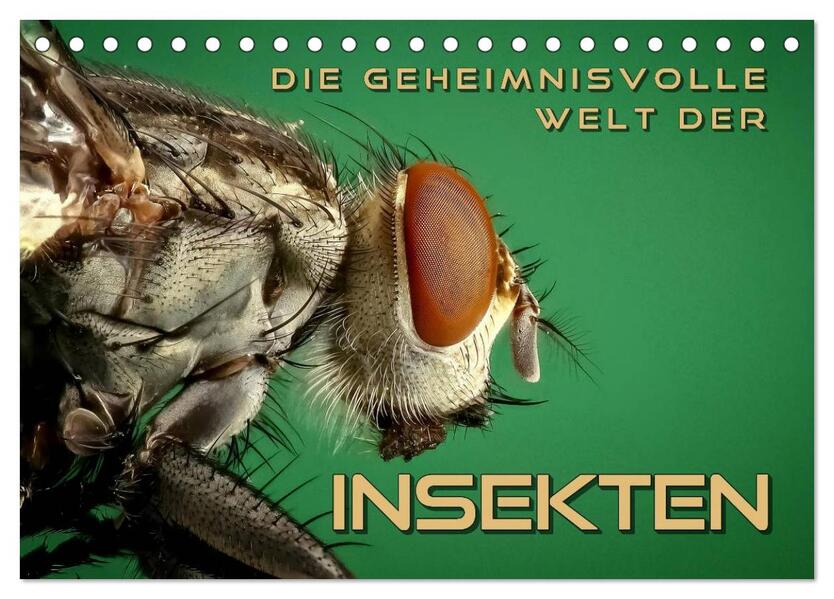 Die geheimnisvolle Welt der Insekten (Tischkalender 2024 DIN A5 quer) CALVENDO Monatskalender