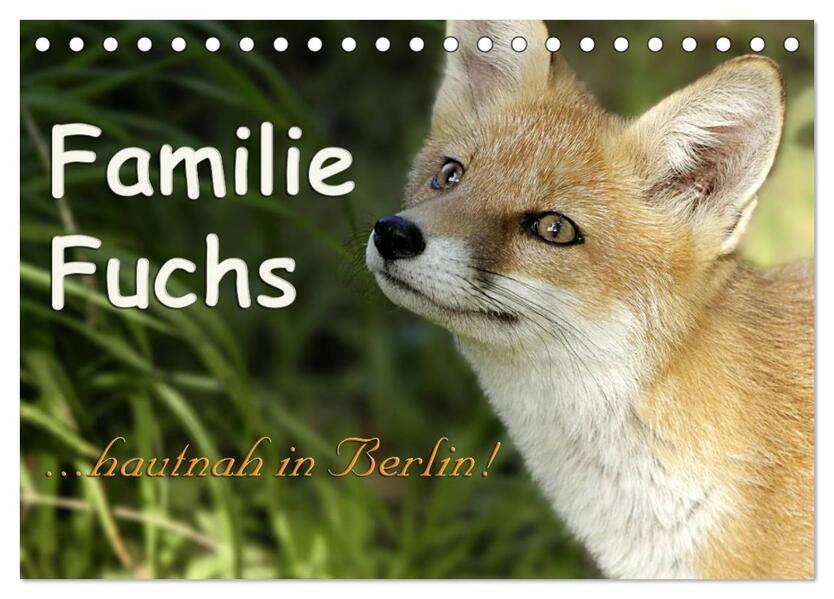Familie Fuchs hautnah in Berlin (Tischkalender 2024 DIN A5 quer) CALVENDO Monatskalender