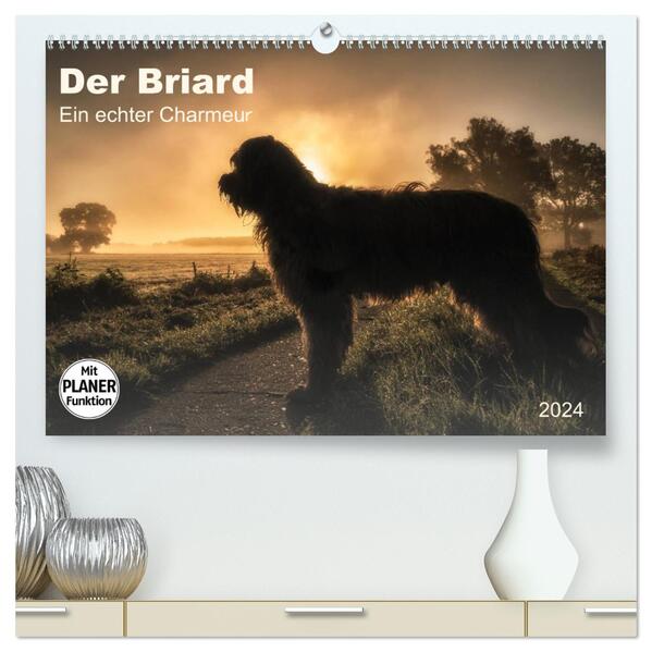 Der Briard 2024 - Ein echter Charmeur (hochwertiger Premium Wandkalender 2024 DIN A2 quer) Kunstdruck in Hochglanz