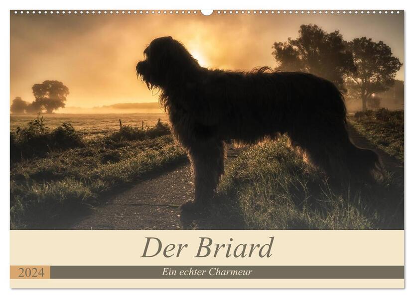Der Briard 2024 - Ein echter Charmeur (Wandkalender 2024 DIN A2 quer) CALVENDO Monatskalender
