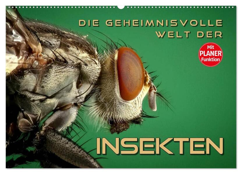 Die geheimnisvolle Welt der Insekten (Wandkalender 2024 DIN A2 quer) CALVENDO Monatskalender