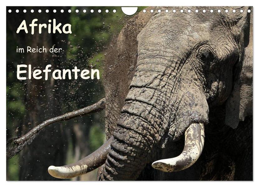 Afrika - im Reich der Elefanten (Wandkalender 2024 DIN A4 quer) CALVENDO Monatskalender