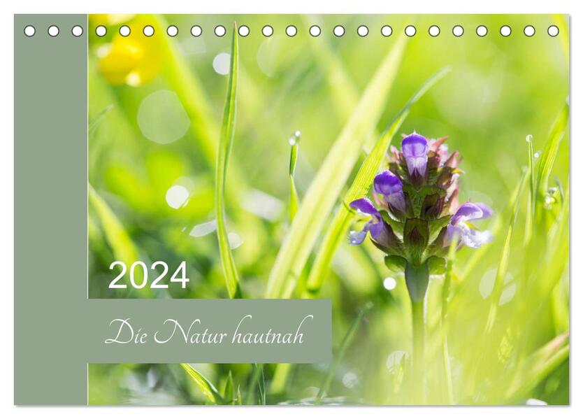Die Natur hautnah (Tischkalender 2024 DIN A5 quer) CALVENDO Monatskalender