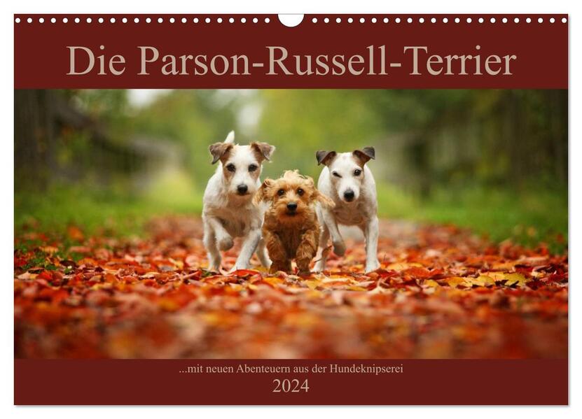 Die Parson-Russell-Terrier ...mit neuen Abenteuern aus der Hundeknipserei (Wandkalender 2024 DIN A3 quer) CALVENDO Monatskalender