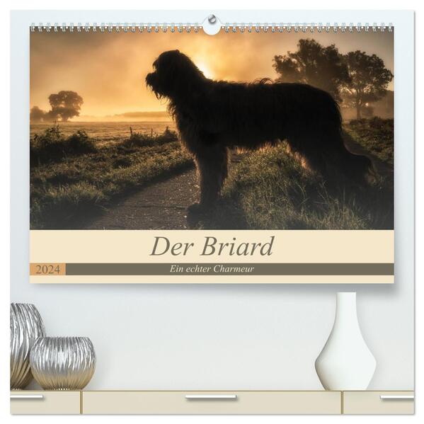 Der Briard 2024 - Ein echter Charmeur (hochwertiger Premium Wandkalender 2024 DIN A2 quer) Kunstdruck in Hochglanz