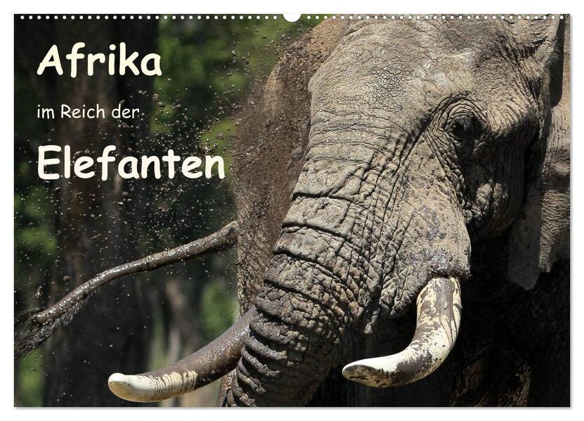 Afrika - im Reich der Elefanten (Wandkalender 2024 DIN A2 quer) CALVENDO Monatskalender