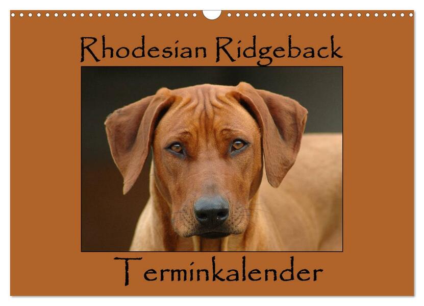Rhodesian Ridgeback Terminkalender (Wandkalender 2024 DIN A3 quer) CALVENDO Monatskalender