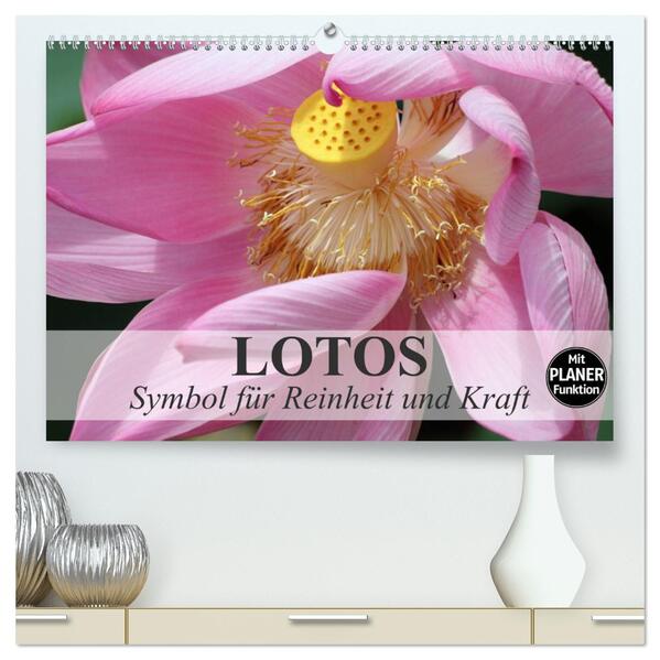 Lotos. Symbol für Reinheit und Kraft (hochwertiger Premium Wandkalender 2024 DIN A2 quer) Kunstdruck in Hochglanz