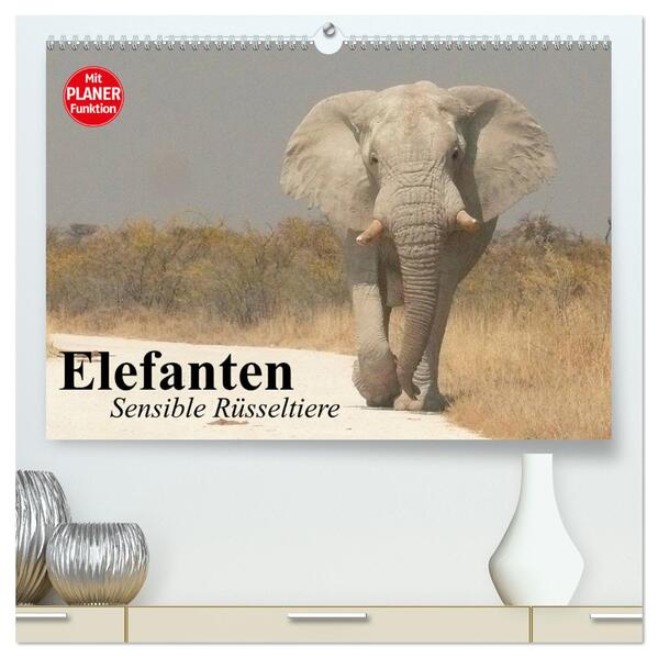 Elefanten. Sensible Rüsseltiere (hochwertiger Premium Wandkalender 2024 DIN A2 quer) Kunstdruck in Hochglanz