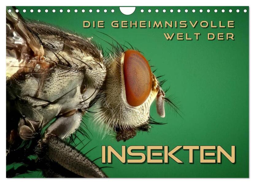 Die geheimnisvolle Welt der Insekten (Wandkalender 2024 DIN A4 quer) CALVENDO Monatskalender