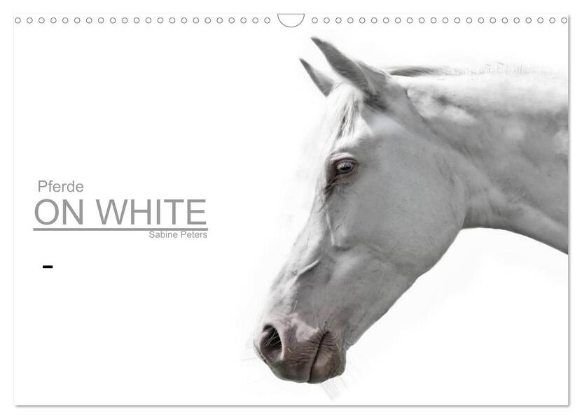 Pferde ON WHITE (Wandkalender 2024 DIN A3 quer) CALVENDO Monatskalender